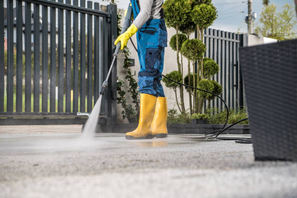 Best Driveway Pressure Washing  in Denver City, TX